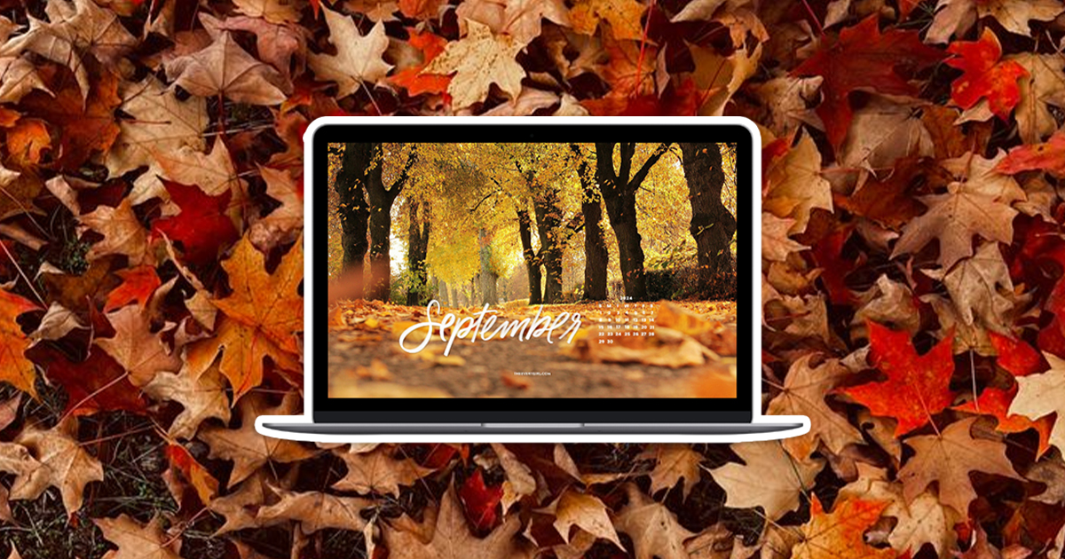 October 2024 Tech Backgrounds: Free, Downloadable Fall Wallpapers!