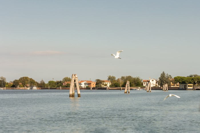 View across the water towards trees and houses on the island of Sant’Erasmo