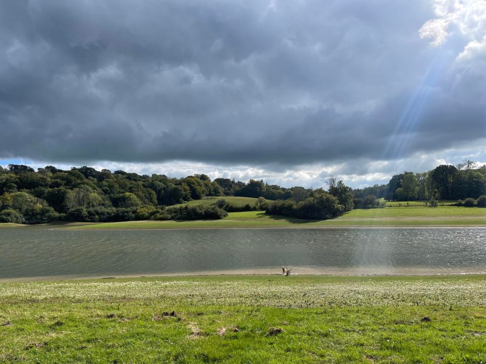 The bench offers incredible views of the water at Bewl Water and is a lovely quiet spot