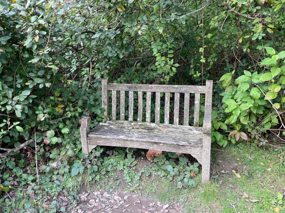 The bench doesn't look too special, slightly weathered, but it's in a prime spot for viewing the water