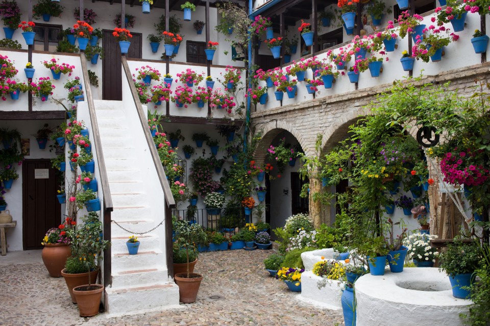 Courtyards in the city are packed with flowers