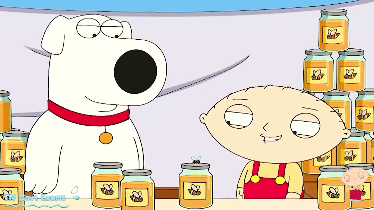 Family Guy Full Episodes 2024 Season 19 Episode 09 Family Guy NEW 2024 Full Episodes NoCuts#1080p#78