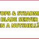 DevOps & SysAdmins: Blade server in a nutshell?