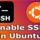 How to enable SSH on Linux Ubuntu (Easy step by step guide)