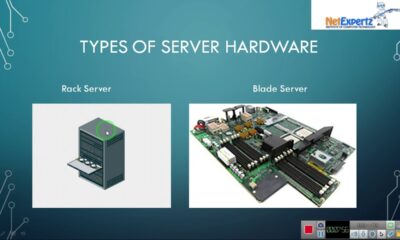 What is Server | Session-01| Windows Server 2019| Netexpertz