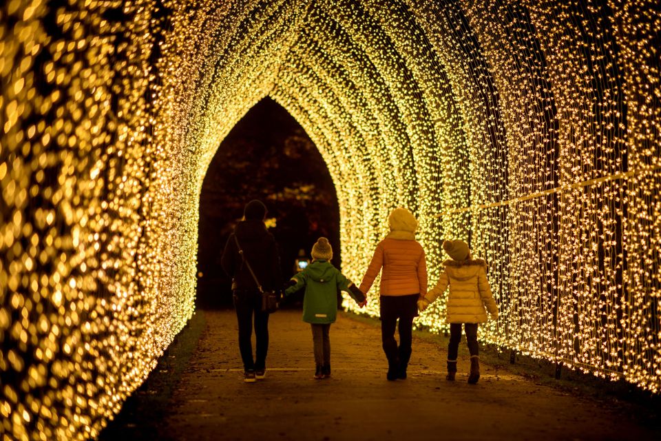 Christmas At Kew is one of London's most popular light trails, with larger-than-life illuminations