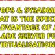 DevOps & SysAdmins: What is the specific advantage of a blade server for virtualisation?