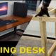 DIY Gaming Desk for $45 | Built-in cable management desk setup | with Basic Tools Only!