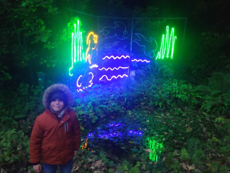 My kids loved all the light effects