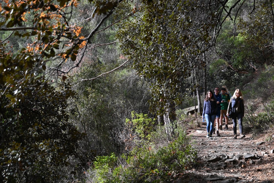 Take a trek on the scenic Caledonian Trail