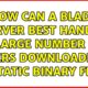 How can a blade server best handle a large number of users downloading a static binary file?