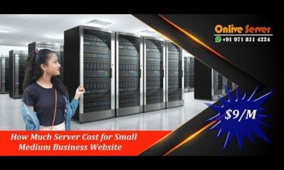 How Much Server Cost for Small Medium Business Website – Onlive Server