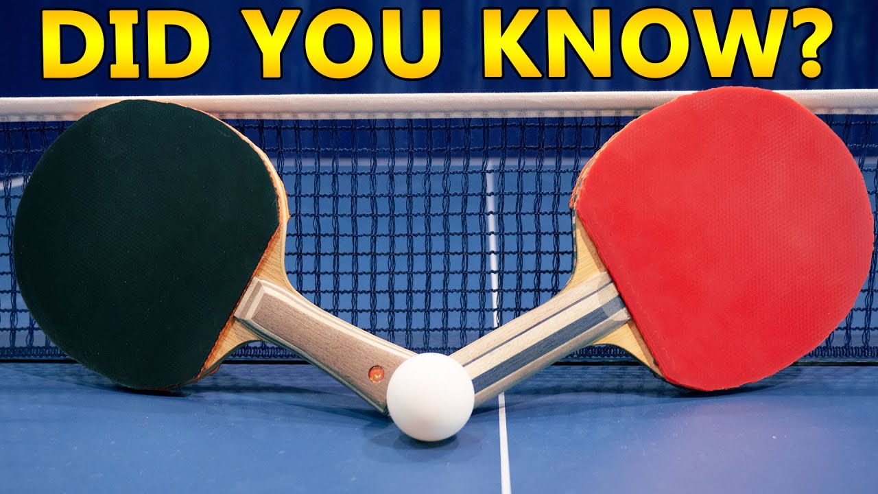 Things You Didn't Know About Table Tennis