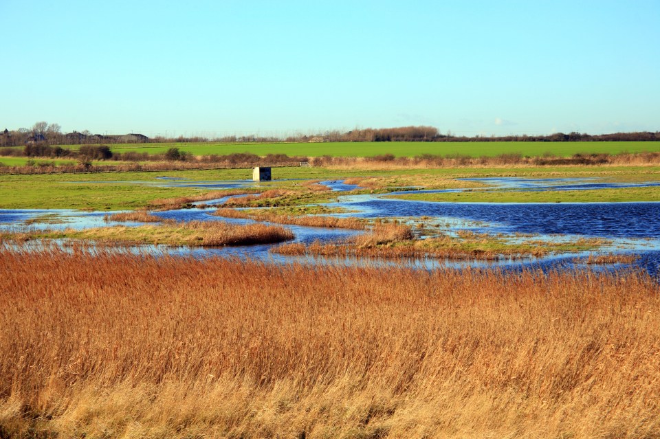 Isle of Harty is now easy to get to from the Isle of Sheppy