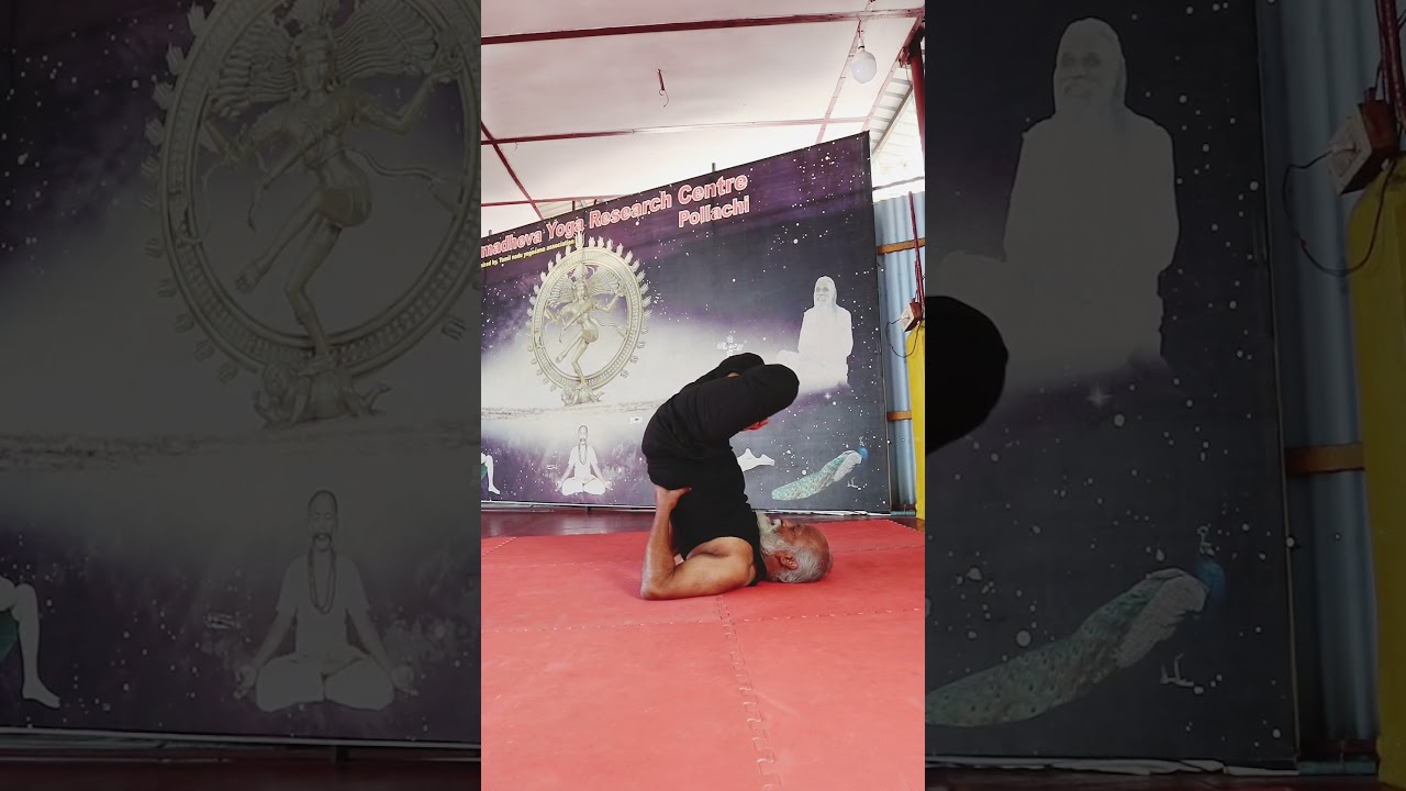 Sarvangasana-the mother of asanas🙏 #sarvangasanasequence #yogashorts #youtubeshorts #abs