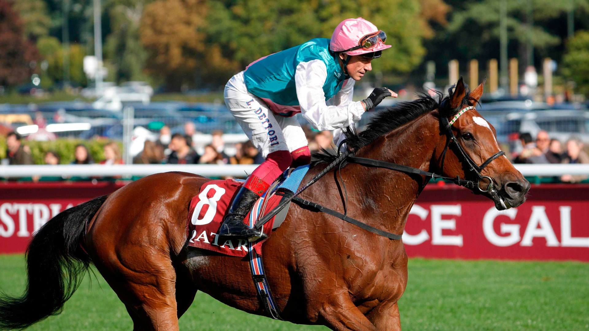 Prix de l'Arc de Triomphe horse numbers 2024 - full list of runners for HUGE Longchamp showpiece race