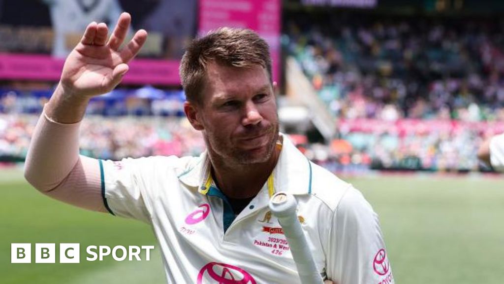 David Warner: Former Australia opener 'available' for India series despite Test retirement