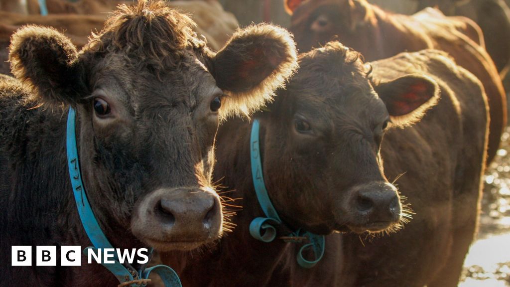 Green farming budget freeze 'will hit nature and wildlife work'