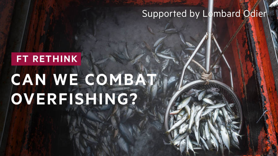 Is it possible to sustainably satisfy the world's hunger for fish?