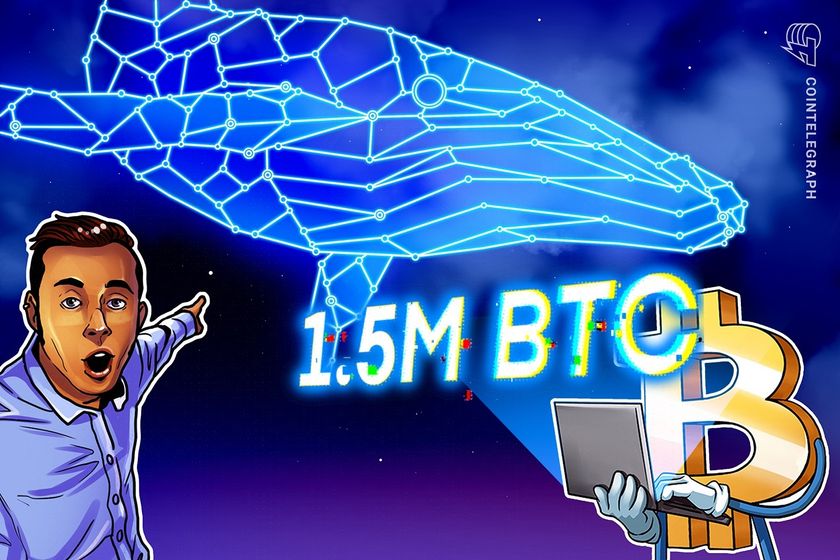 BTC price gains 'on horizon' as Bitcoin whales buy 1.5M BTC — Analysis