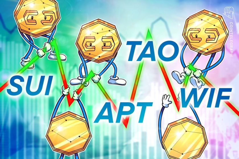 Bitcoin’s indecisiveness could drive investors to SUI, APT, TAO, and WIF