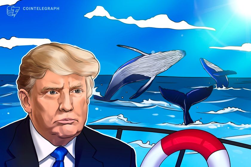 Polymarket claims to have identified Trump whale