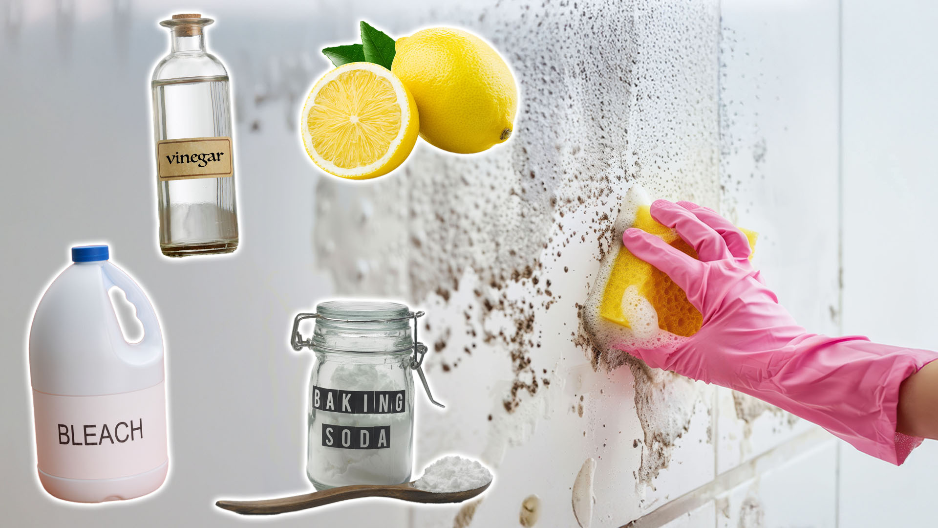 My top buys for as little as 30p to keep mould and damp at bay this winter as a cleaning expert