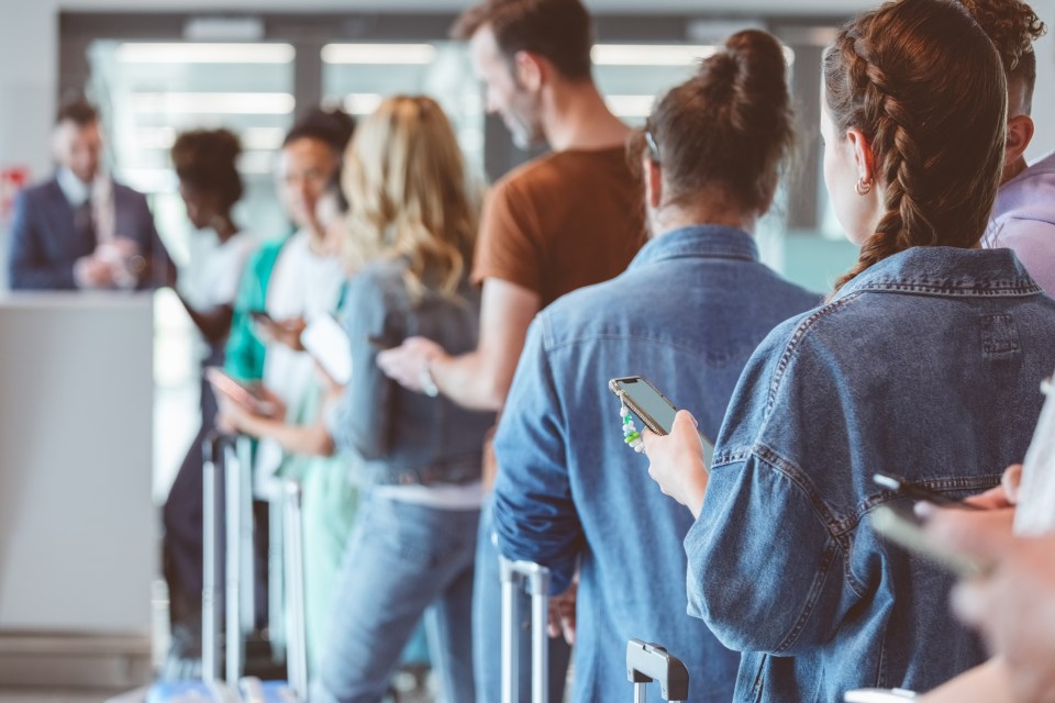 'Gate lice' are a particular problem with flight attendants as they can cause delays