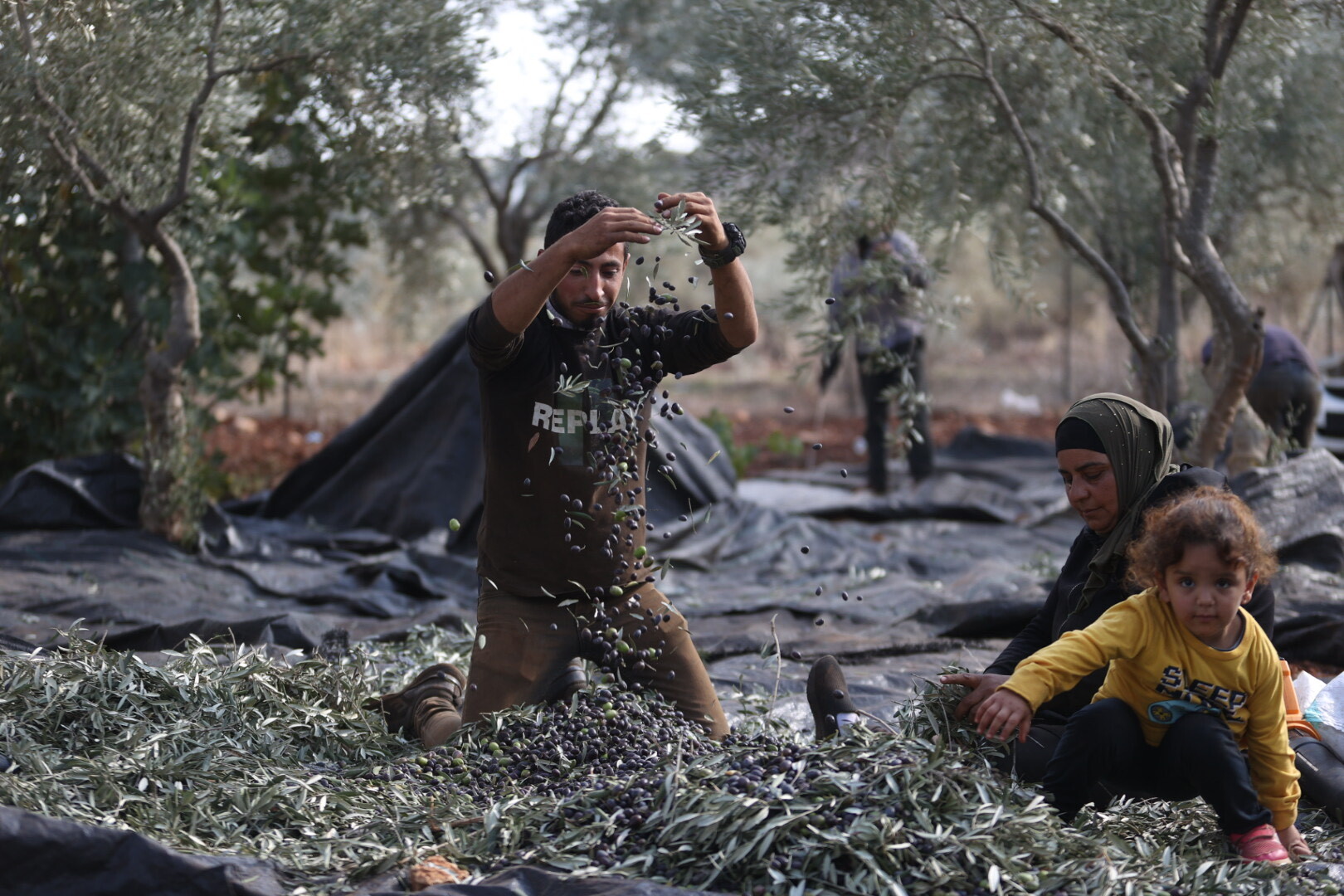 Palestinian farmers resist Israeli expansion in the West Bank