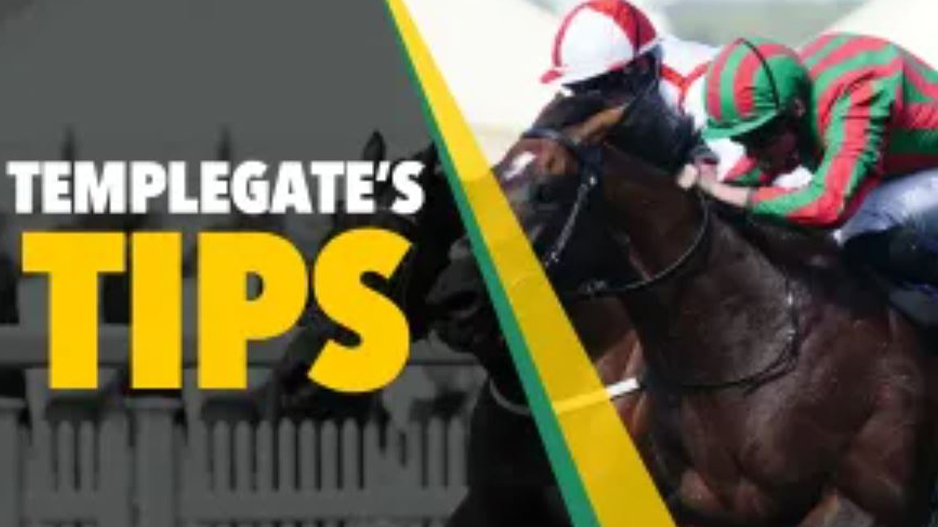 Horse racings tips: Templegate's 3-1 NAP at Ascot loves soft ground and is in flying form