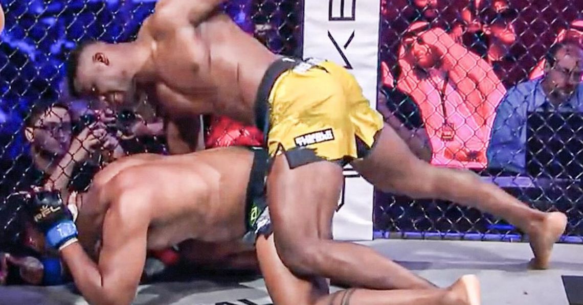 Francis Ngannou demolishes Renan Ferreira with vicious ground and pound knockout in first round