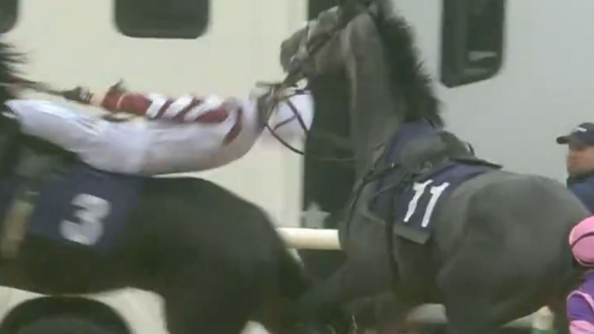 Horrific moment helpless jockey is flung like rag doll in terrifying pre-race scare at Sedgefield