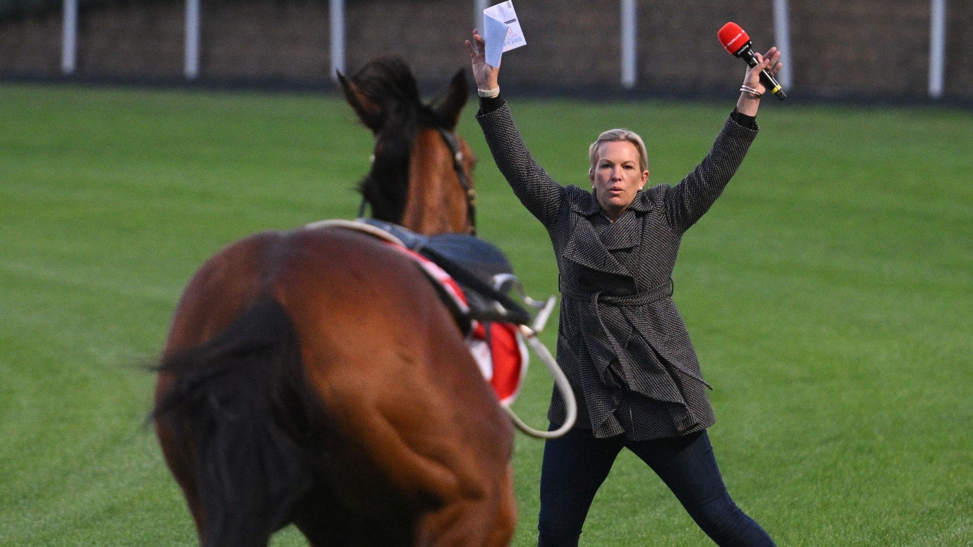 'We feared the worst' - All hell breaks loose as £3million horse causes carnage before big race