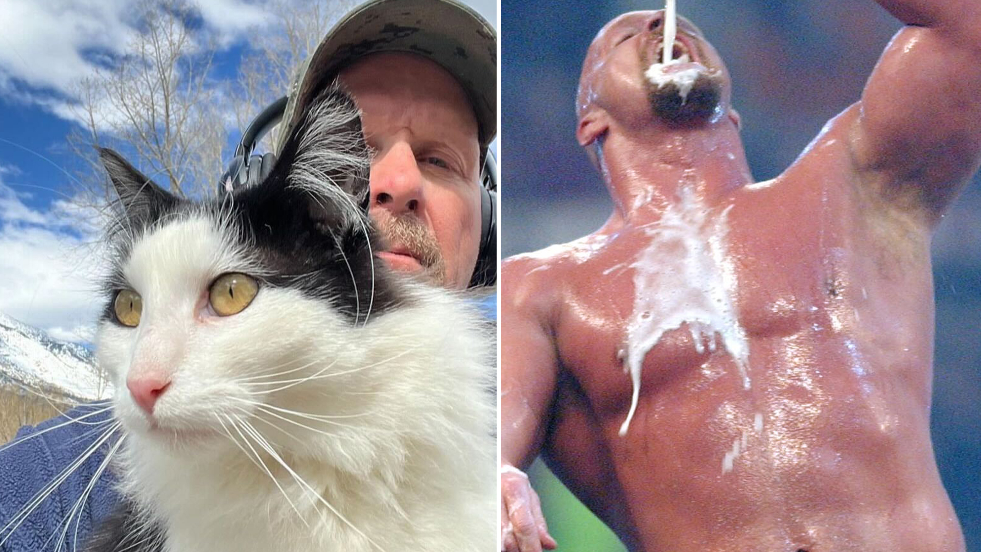 Inside WWE legend Stone Cold Steve Austin's transformation from beer-swilling heavyweight champ to mellow 'cat dad'