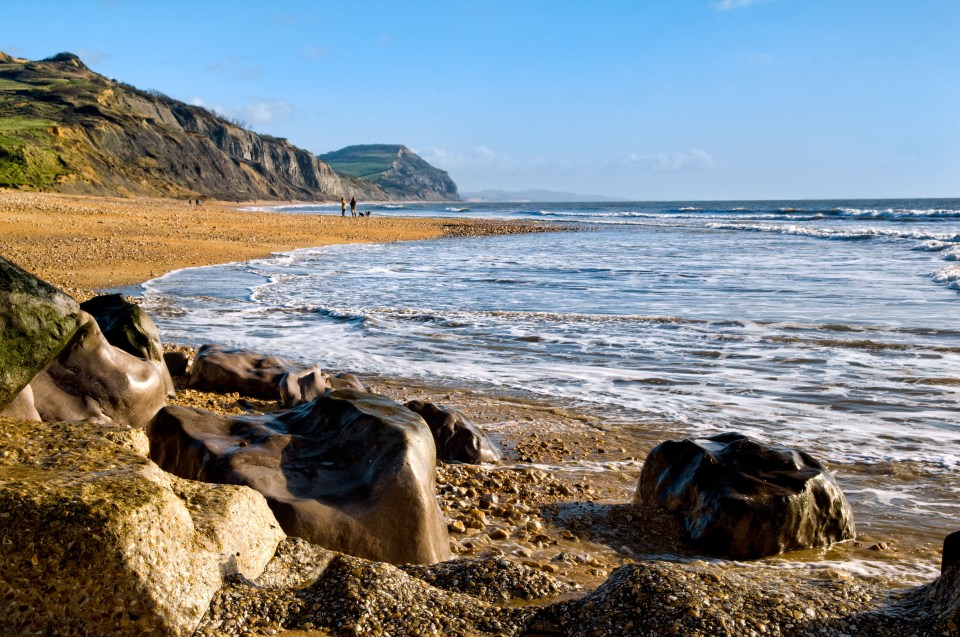 The Jurassic Coast is one of the world's best fossil hunting spots