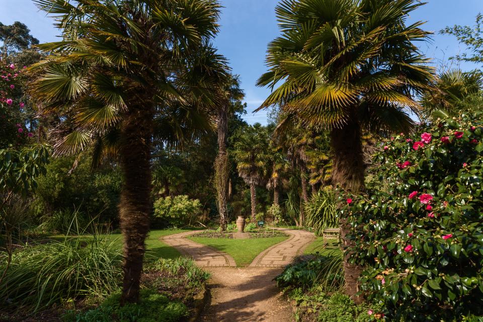 Abbotsbury Subtropical Gardens benefits from a mild climate