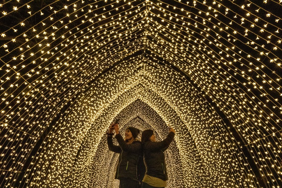 Kew Gardens becomes an ethereal fairytale land at Christmas time