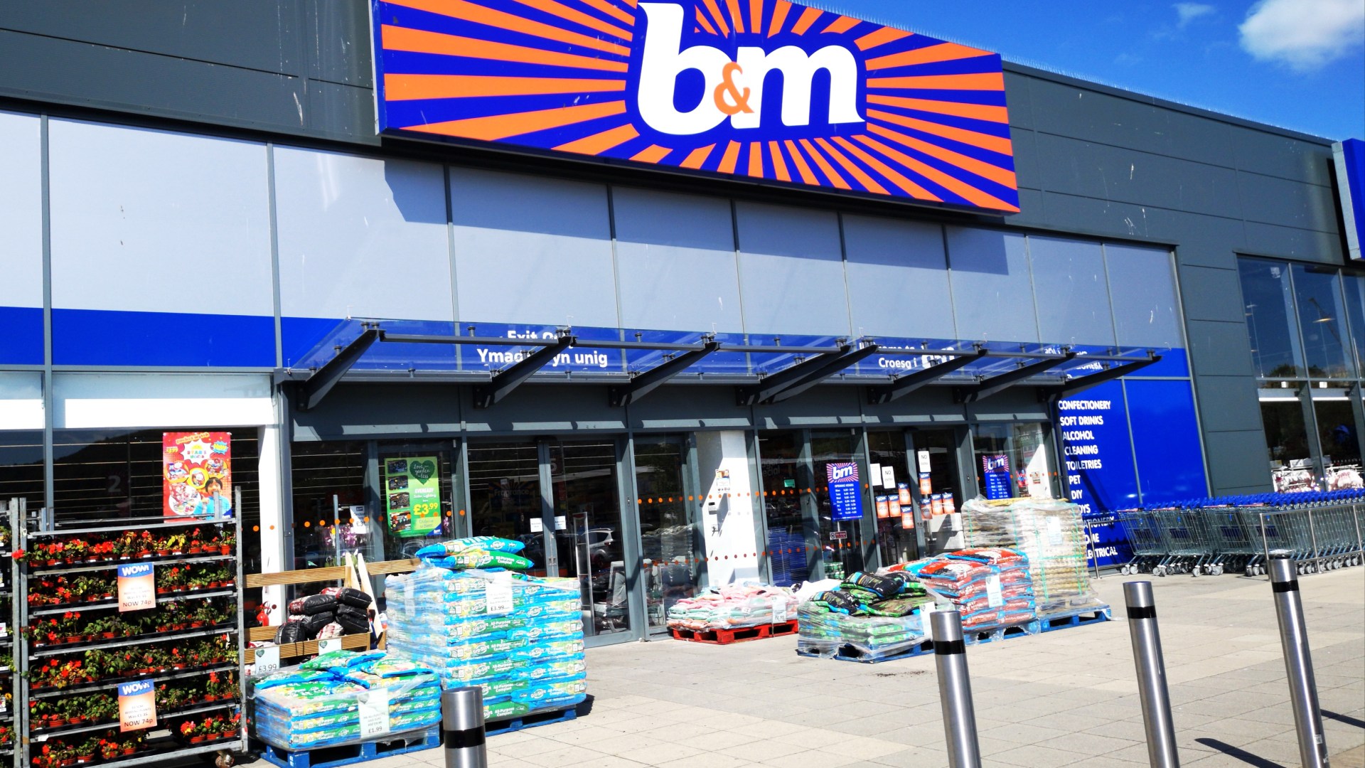 B&M shoppers rushing to buy cat toy ideal for Christmas scanning for 10p instead of £2.50