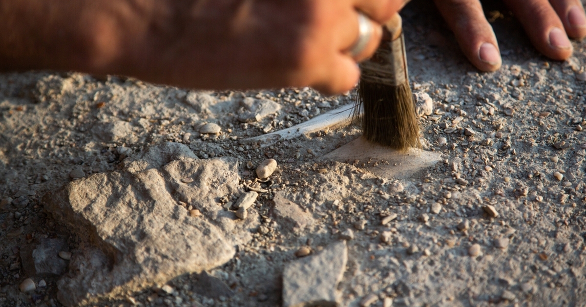 Archaeologists Discover Ancient "Pub" at Multi-Million Dollar Building Site