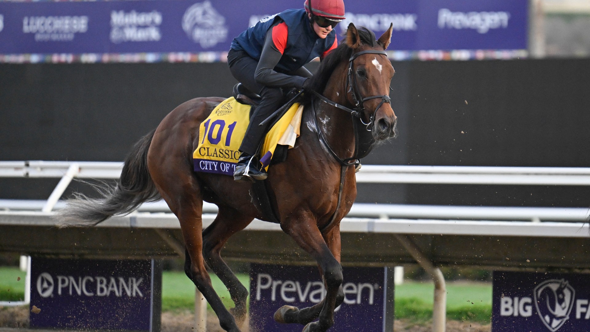 Aidan O'Brien pleased with City Of Troy draw as he prepares for date with destiny in Breeders' Cup Classic