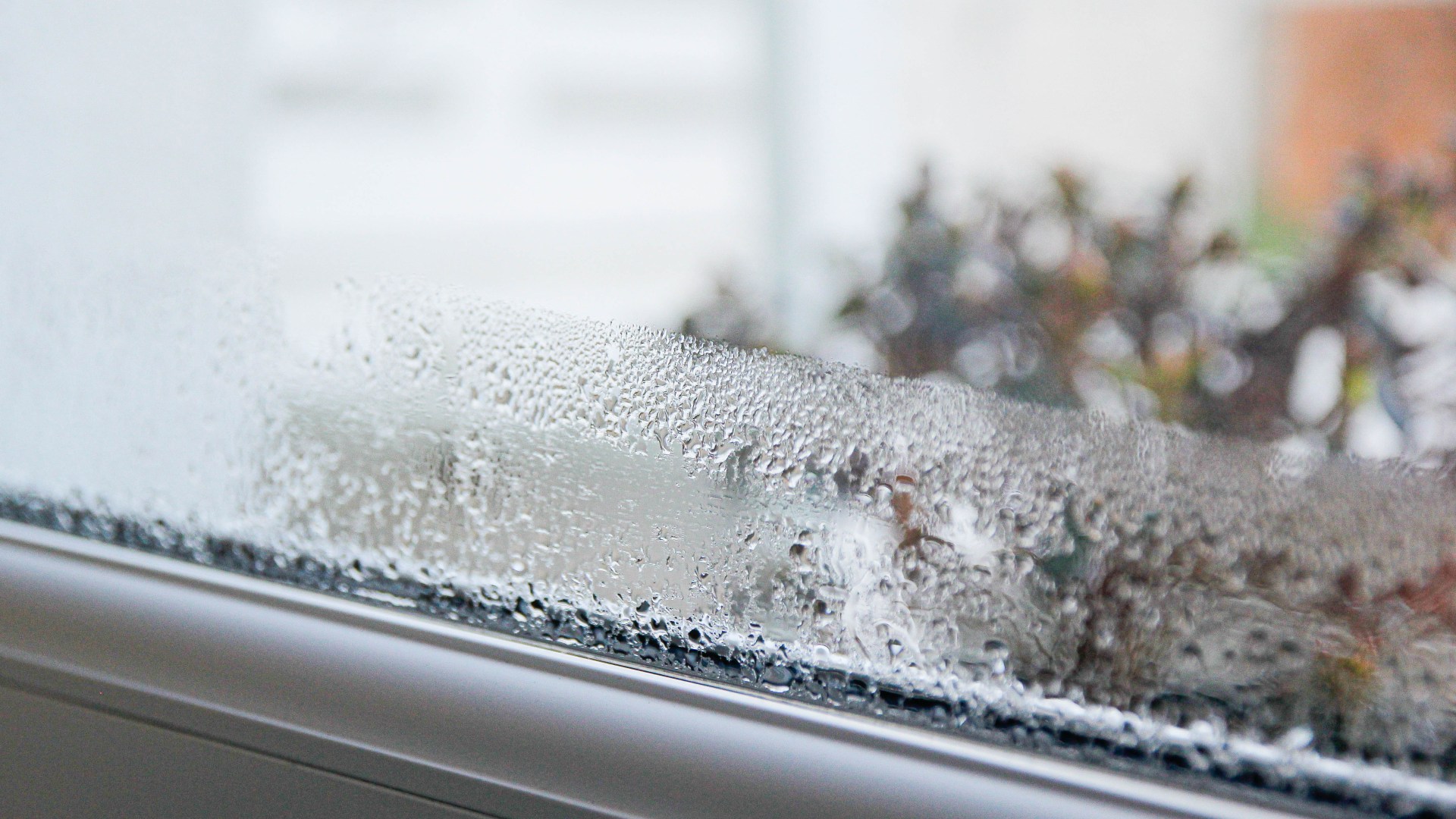 The ‘game changer’ £8 cold weather item in unexpected aisle for tackling condensation – you can use it again & again