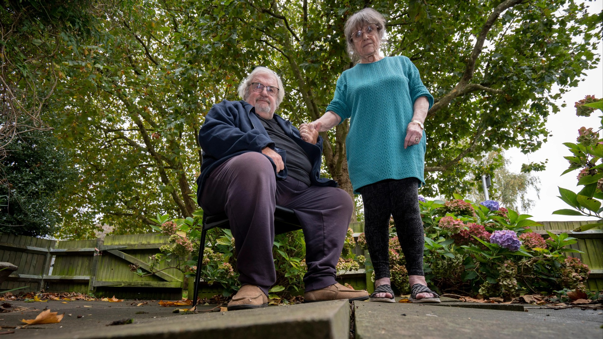 I'm TRAPPED in my own home by 'dangerous' tree - I want it chopped down but council refuses... no one will help