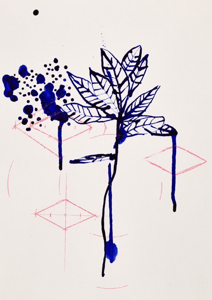 Sketch of a flower, made with blue ink on pale paper. The ink has been applied in such a way as to create scratches, distortions,  blotches and rivulets running down the paper