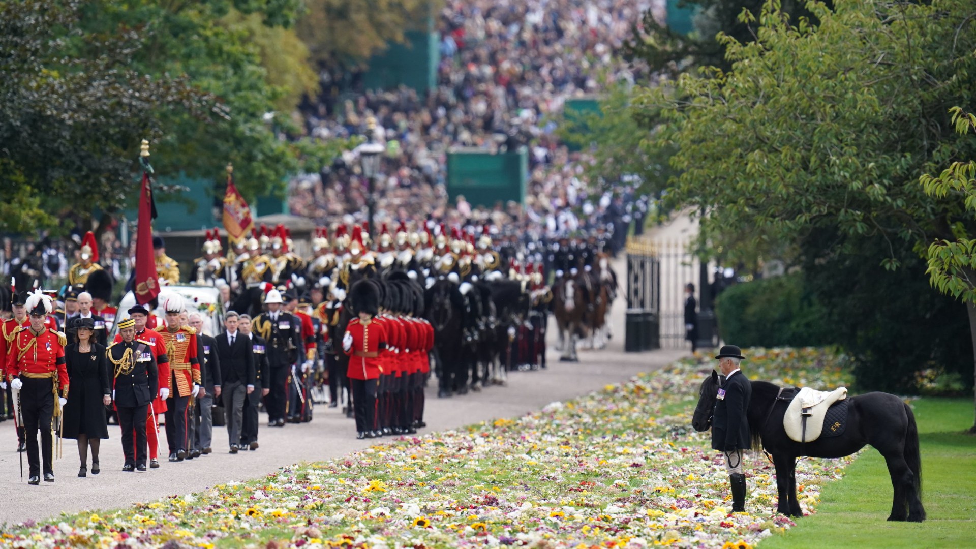 Queen Elizabeth II's favourite pony Emma - who moved fans to tears at her funeral - pays final tribute to late monarch