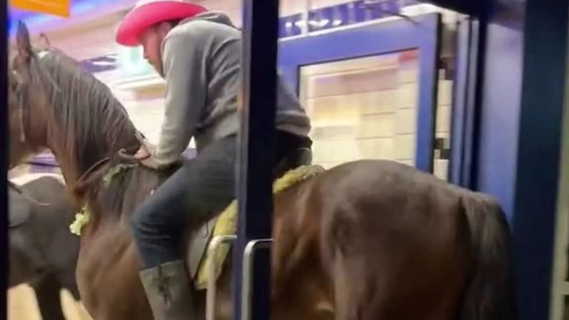 Hungry customer left gobsmacked as two blokes riding giant HORSES stroll into local chip shop