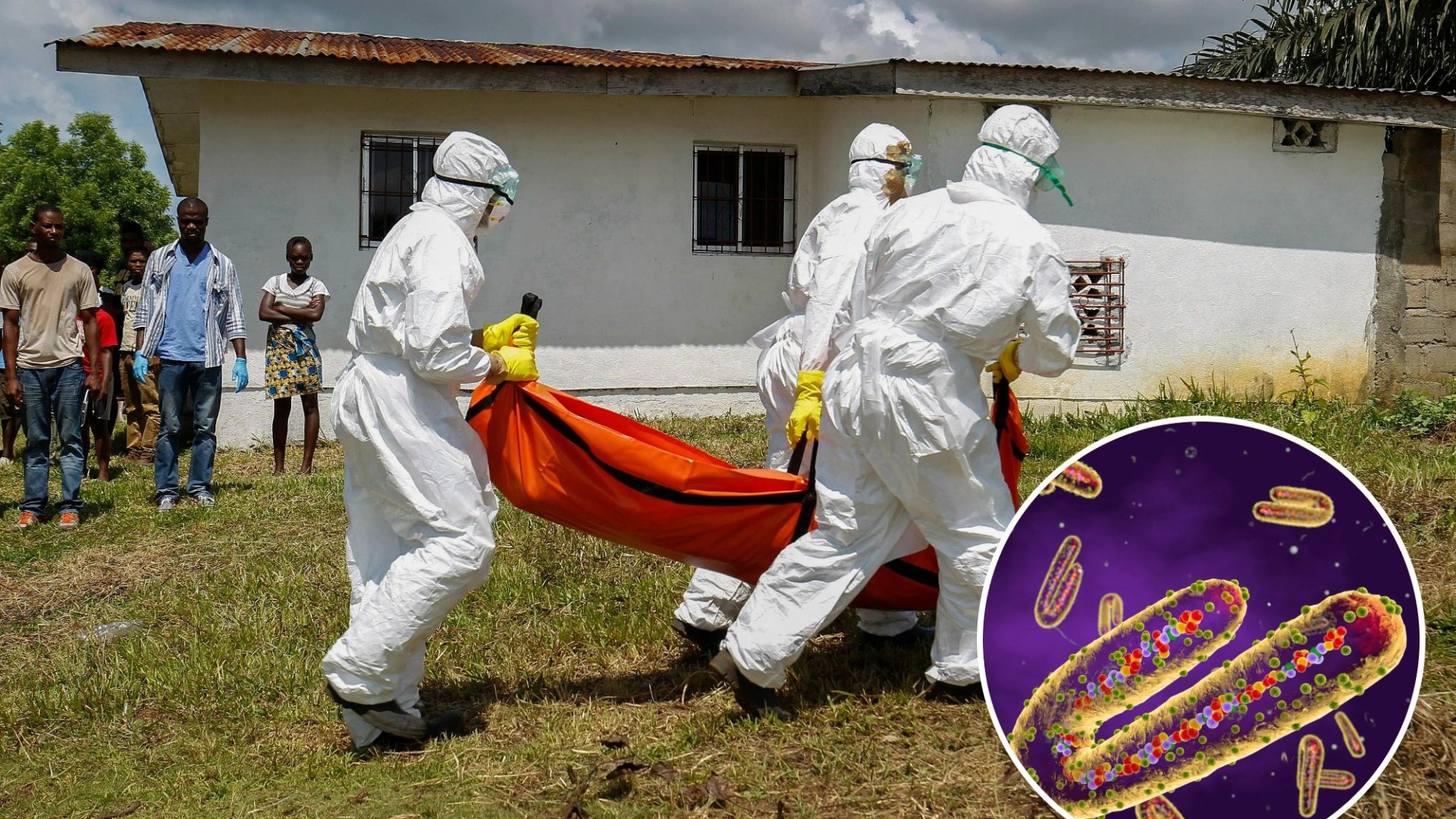 Fears Ebola-like 'eye-bleeding disease' that's killed 9 has spread to Belgium - as hospital visits banned