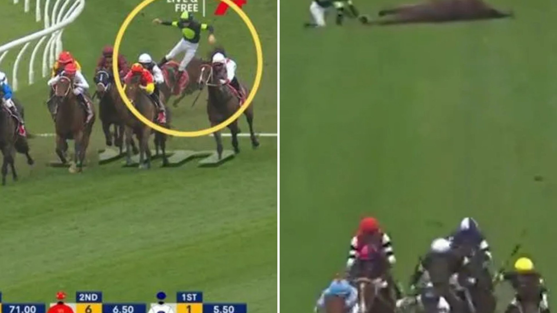 Watch 'crazy dangerous' moment jockey risks his own safety to comfort horse after horrific mid-race collapse