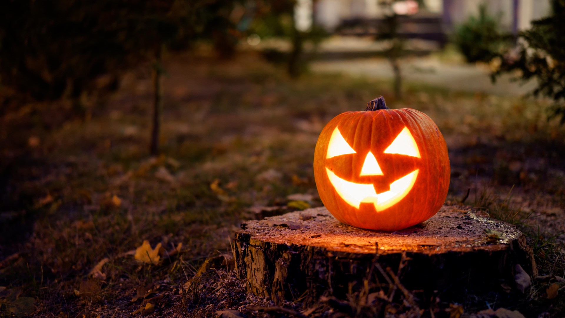 Shoppers rush to buy giant Halloween decoration that will stun neighbours scanning for £25 instead of £140