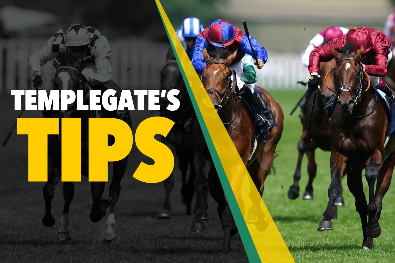 Horse racing tips: Templegate's NAP looks hard to beat over new trip and on perfect ground