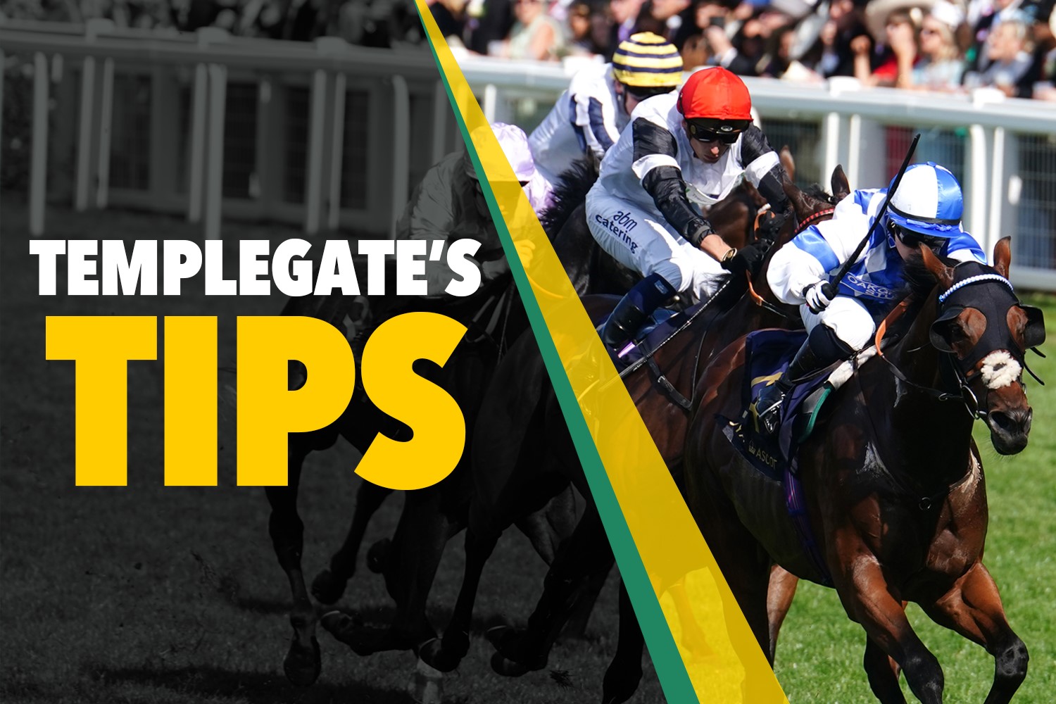 Horse racing tips: Templegate's 2-1 NAP looks to have a bright future over fences for Nicky Henderson